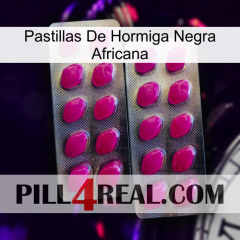 African Black Ant Pills 10